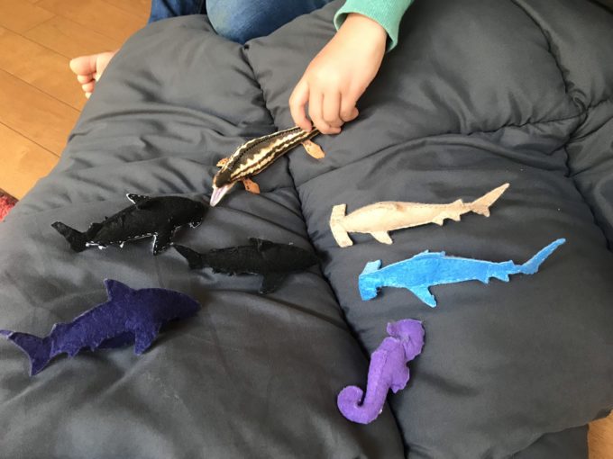 恐竜 フェルト 手作り 型紙 おもちゃコレクション無料