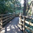南本宿公園：自然ゆたか森の中の公園！こぢんまりとした公園ですが遊具に生き物観察、たっぷり遊べます。[旭区]