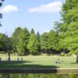 藤沢市内  広い公園10選：子供も喜ぶ、開放感抜群の広～い公園をご紹介！（2024年update版）