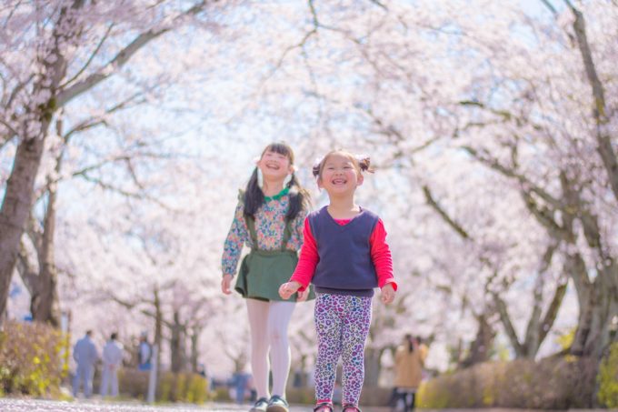 湘南 桜がキレイな公園10選 子供とお花見 遊びながら桜を楽しめる公園を地元ママが集めました 藤沢 茅ヶ崎 平塚 寒川町 22年版 情報追加しました 湘南エリア 横浜 湘南で子供と遊ぶ あそびい横浜 湘南