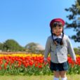 2021年3月27日-28日のイベント 予約不要子供向け［横浜市内］桜情報・サクラレポートも！