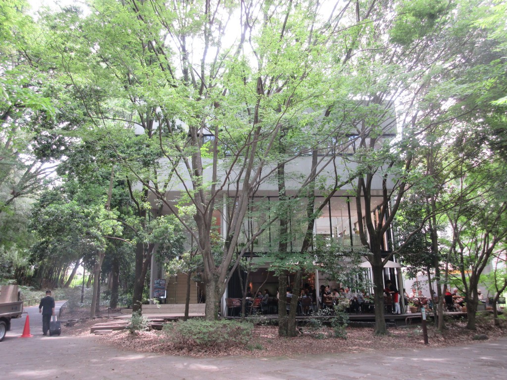 仲町台は親子の楽園？！駅すぐ楽しめる公園いっぱい【せせらぎ公園】：駅近なのに自然たっぷり、おしゃれな仲町台の街並みを