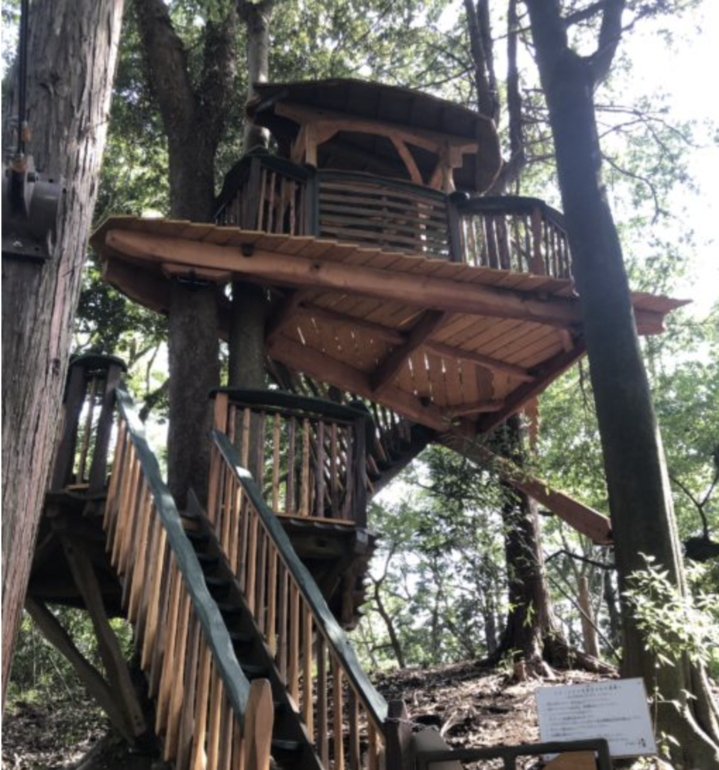 茅ヶ崎市市民の森：ツリーハウスやターザンロープがリニューアル