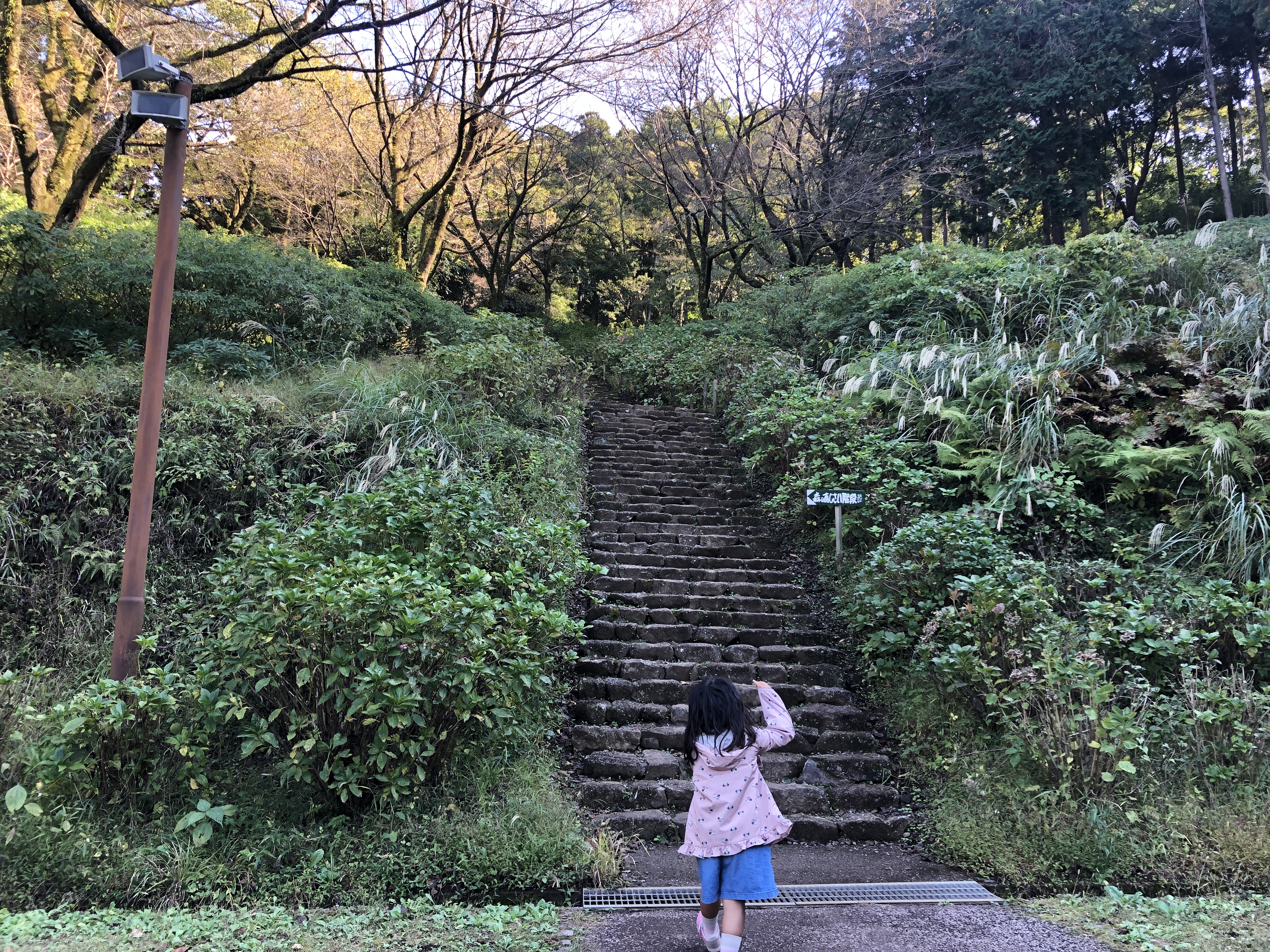 厚木市で子供と遊ぶ 神奈川県厚木市の記事をまとめました 近場で親子で子供と 穴場あり有名スポットあり あそびい横浜湘南 横浜 湘南で子供と遊ぶ あそびい横浜 湘南