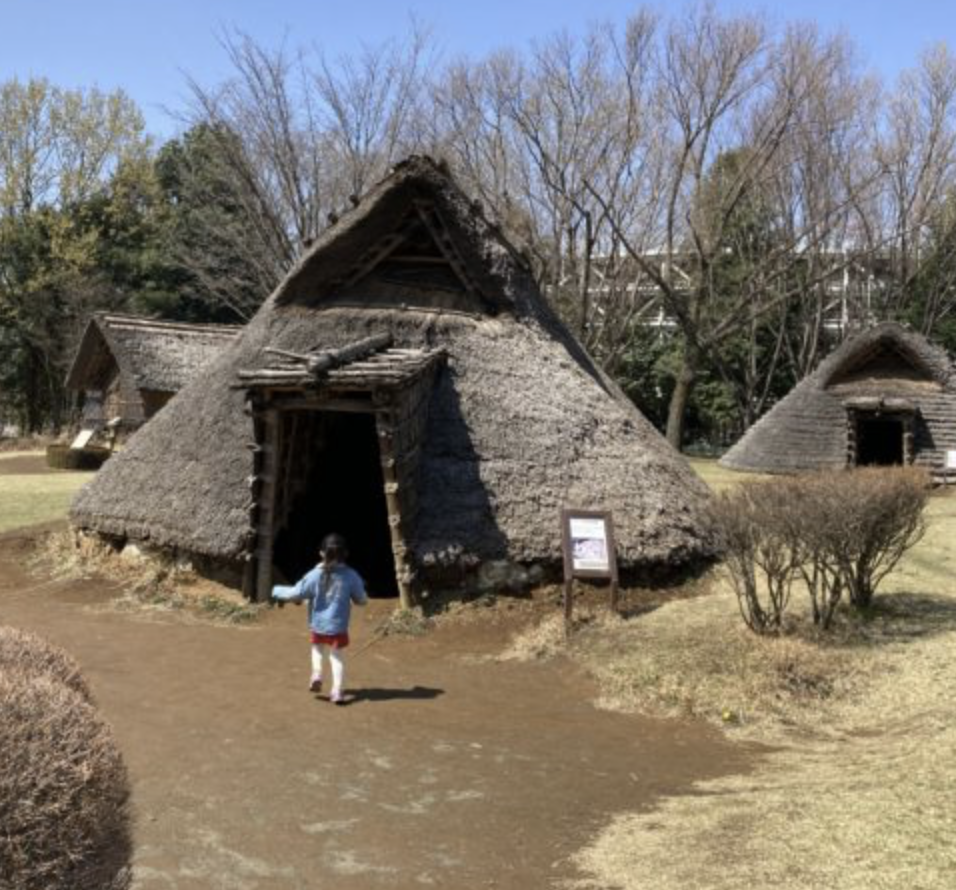 大塚 歳勝土遺跡公園でお花見 見て触れて学べる遺跡があるよ センター北駅近く 遊具もあり ピクニックや散歩コースにも 横浜 湘南で子供と遊ぶ あそびい横浜 湘南