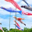 大空に元気よく泳ぐこいのぼりを見に行こう！ 横浜市内で迫力のこいのぼりが楽しめるスポット紹介。[2022年版]