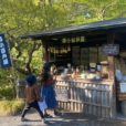 舞岡公園・舞岡ふるさと村：まるでトトロの世界！こんな近くに大自然。収穫体験や季節の行事もできる！昔のおもちゃに里山探検。里山の美しさと日本の伝統に触れられる公園は、市営地下鉄の「舞岡」駅からもすぐの穴場です [ママレポ]