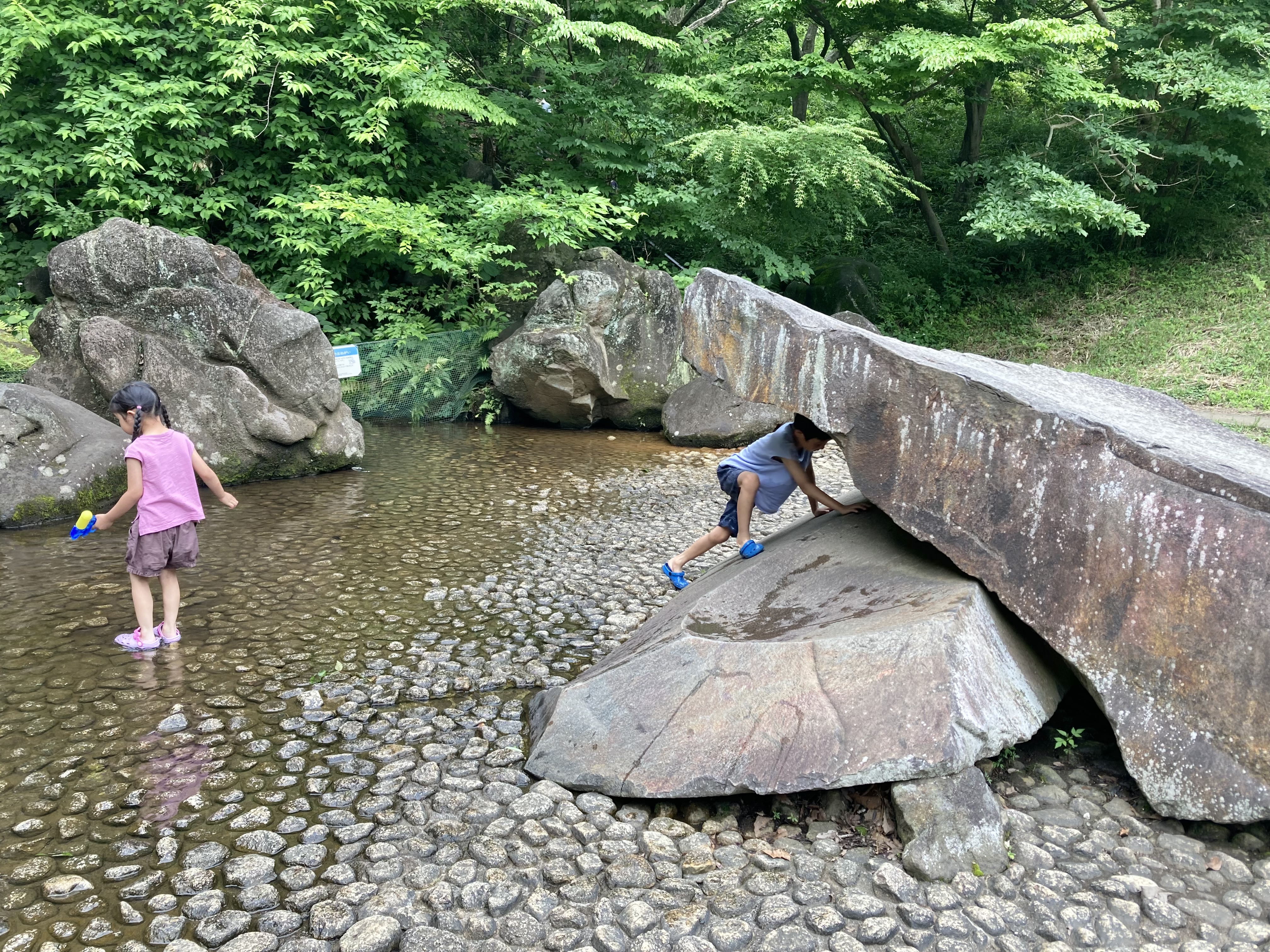 四季の森公園：夏はじゃぶじゃぶ池で水遊び！ジャンボすべり台や遊具も
