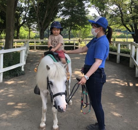 介護疲れページ☆ 馬子供2匹プラス 介護疲れ様専用ページ☆ 馬子供2匹