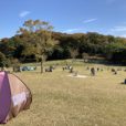 根岸森林公園：ランドマークタワーも見える横浜とっておきの広い公園に行ってきました！芝生で子供とピクニック！遊具、バスケゴール、カフェ、駐車場あり。馬の博物館もお隣です。［ママレポ］