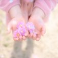 【湘南・梅レポ】藤沢市北部の子供も楽しめる梅のお花見スポット、円行公園に行ってきました！（写真レポート2023年2月22日）