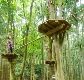 神奈川の人気観光サイト【観光かながわNOW】に、新コンテンツ