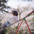 【湘南・桜レポ】藤沢市南部の子供も楽しめる桜スポットに行ってきました！長久保公園・新林公園（写真レポート2023年3月20日）