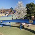 大和ゆとりの森：巨大アスレチックと巨大遊具に大興奮！ワイドビックウエーブ滑り台に3台のローラー滑り台！！せせらぎも流れる芝生広場でピクニック。小さい子から小学生まで1日たっぷり遊べる綺麗でカラフルな公園！[ママレポ]