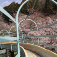 神奈川で子供とお花見：桜をくぐるロングすべり台あり！一面が桜の川遊び＆大型遊具あり。横浜から1時間で、桜の穴場へ！子供と遊べる楽しめる・ママパパ厳選スポット５選 [2023年]