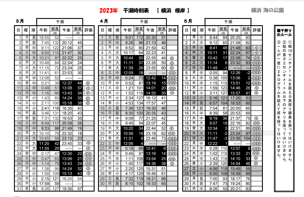 シーズン到来！！海の公園「2023干潮時刻表」を上手に使って潮干狩りに行こう！[金沢区] | 横浜・湘南で子供と遊ぶ - あそびい横浜・湘南