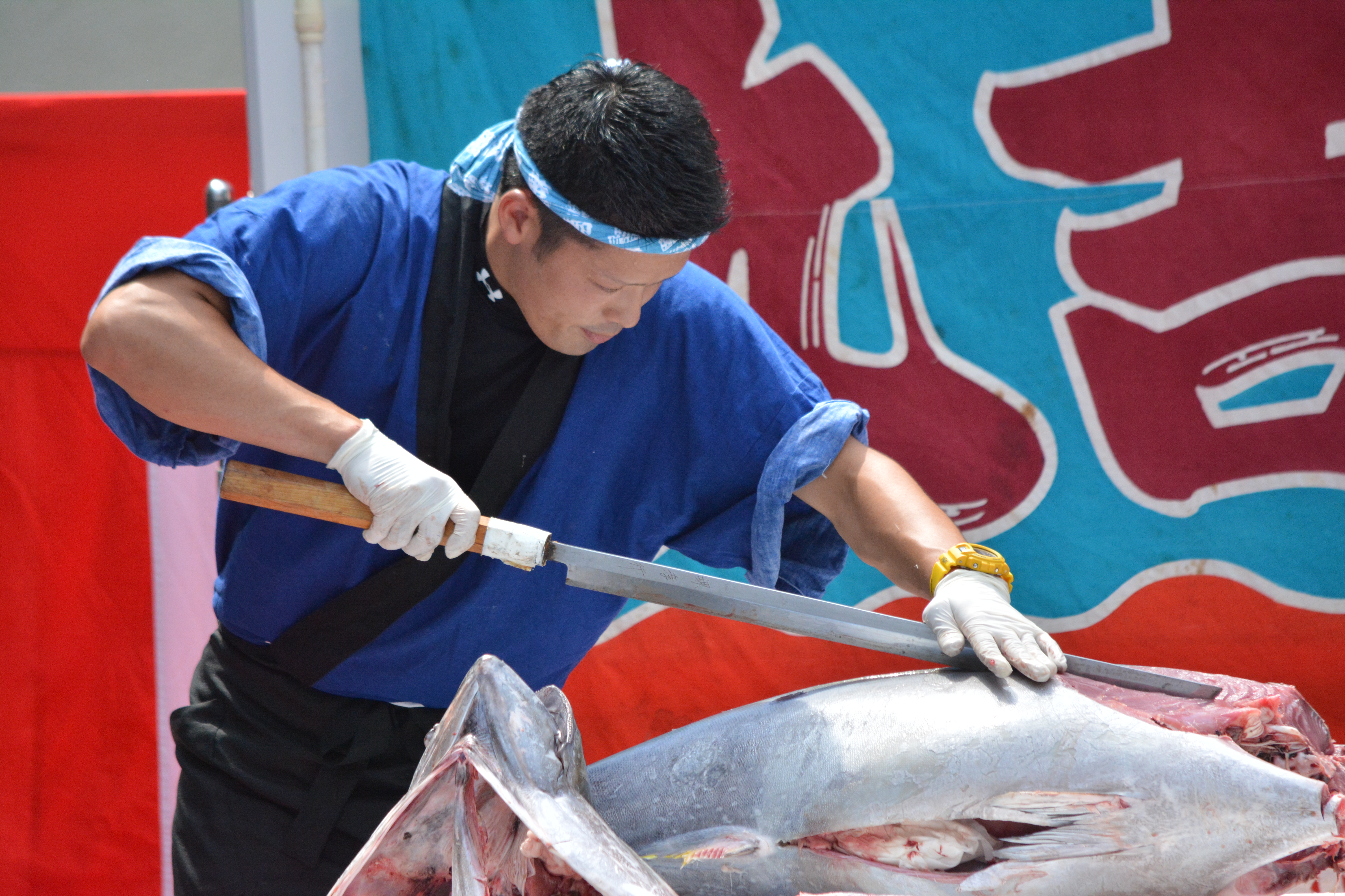 サガミ湘南支店 秋の感謝祭2023】マグロ解体ショー＆200貫大盤振る舞い