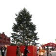クリスマスマーケットin横浜赤レンガ倉庫2023 に行ってきました！本場ドイツのクリスマスマーケットの雰囲気を楽しめる！！巨大ツリーやクリスマス限定フォトスポットが沢山！！イルミネーションガーデンも見逃せない！ホリデーシーズンにファミリーで楽しめるイベントです！
