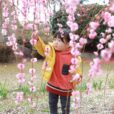 【湘南梅レポ・新林公園】藤沢市南部の子供も楽しめる梅のお花見スポットに行ってきました！今週末には満開の梅に出会えるかも！！（写真レポート2024年2月14日）