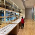茅ヶ崎市博物館：2022年オープンの新しい博物館。親子でゆっくり、茅ヶ崎の自然や歴史、文化を学べます。雨の日など、のんびり過ごしたいときにおススメ♪入館無料、駐車場無料[茅ヶ崎市堤]
