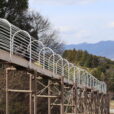 「神奈川県立おだわら諏訪の原公園」こんなに長い？県内最長の１６９ｍのローラー滑り台は１度は滑っておきたい！！大パノラマの中を爽快に滑ろう！ドライブがてらにちょうどいい公園！