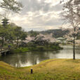 「三渓園」に行ってきました！ソメイヨシノが満開！和の春の花々も見頃です！桜の名所でお花見を楽しんできました！（2024年4月6日写真レポート）