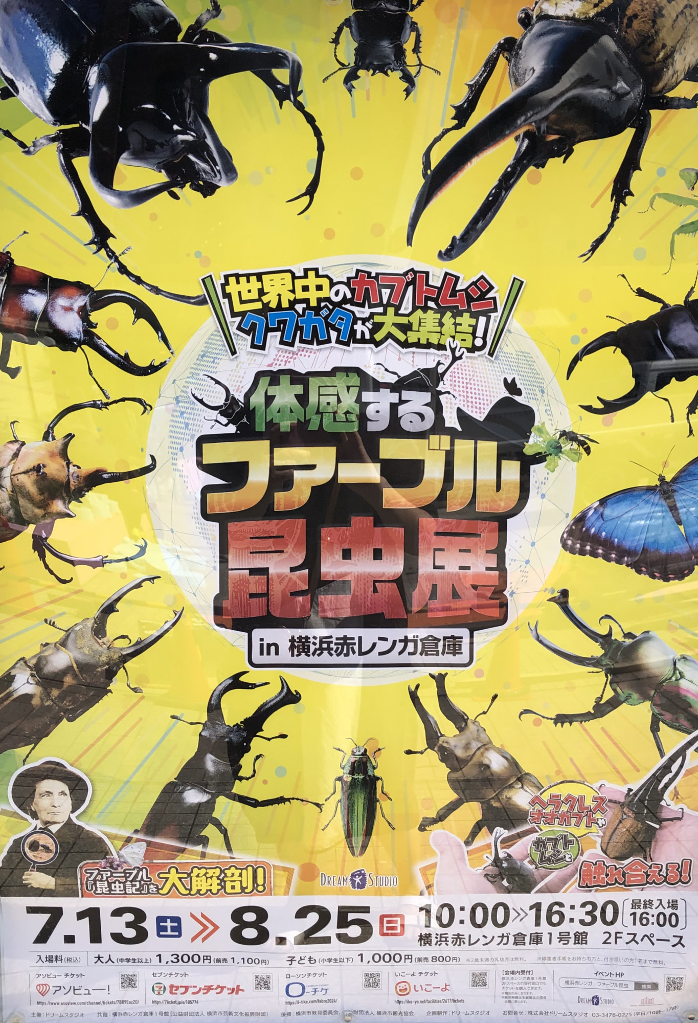 体感するファーブル昆虫展」in横浜赤レンガ倉庫に行ってきました！2024