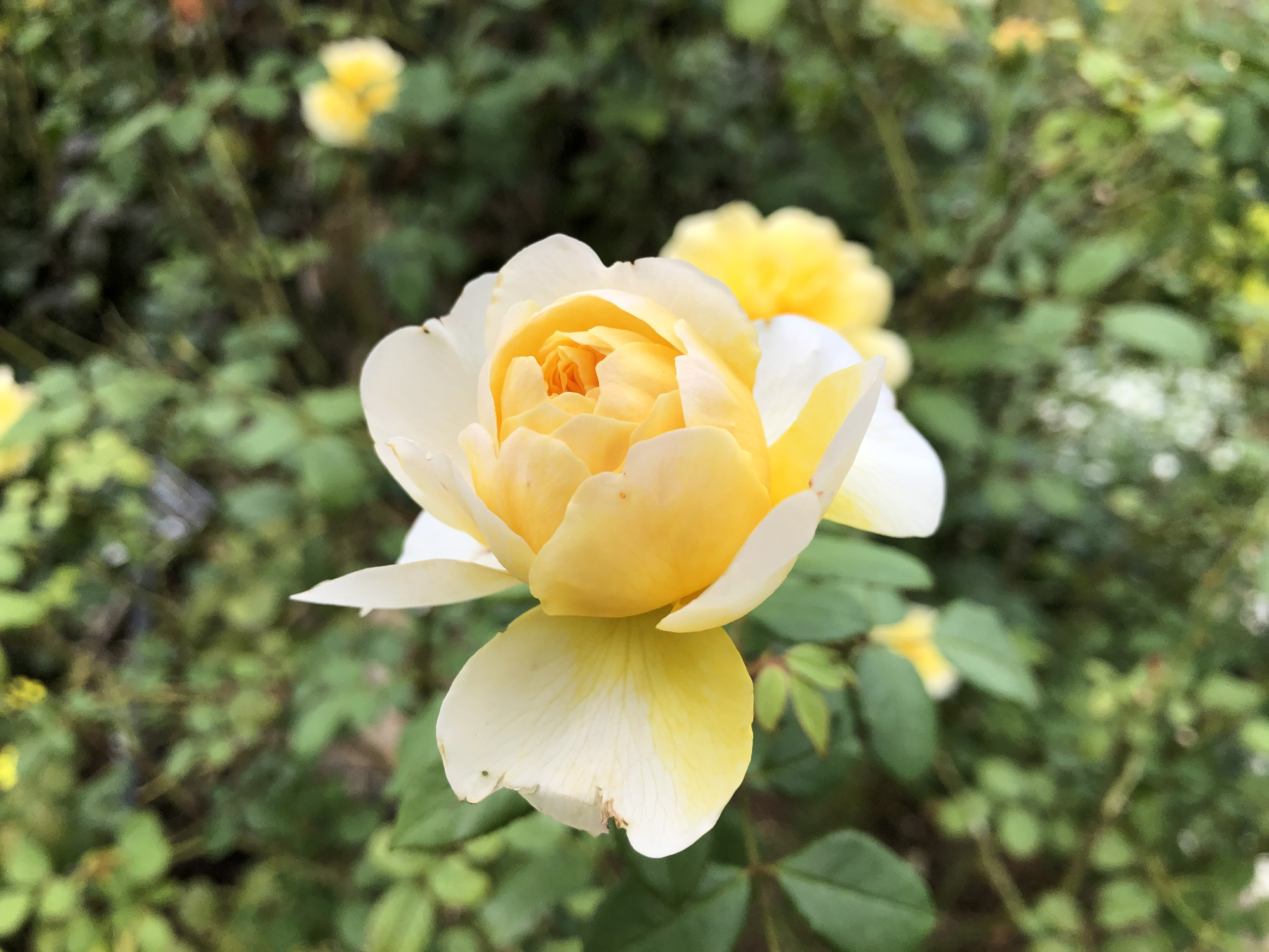 12d72b1bedaa4beb0c6d94c585b420