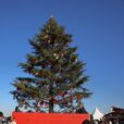 『Christmas Market in 横浜赤レンガ倉庫2024』に行ってきました！！みなとみらいで楽しむ絶対行きたいクリスマスイベント！！この時期限定のかわいいクリスマス雑貨にフード＆ドリンクが目白押し！！今年は記念すべき15周年の特別イルミネーションも。