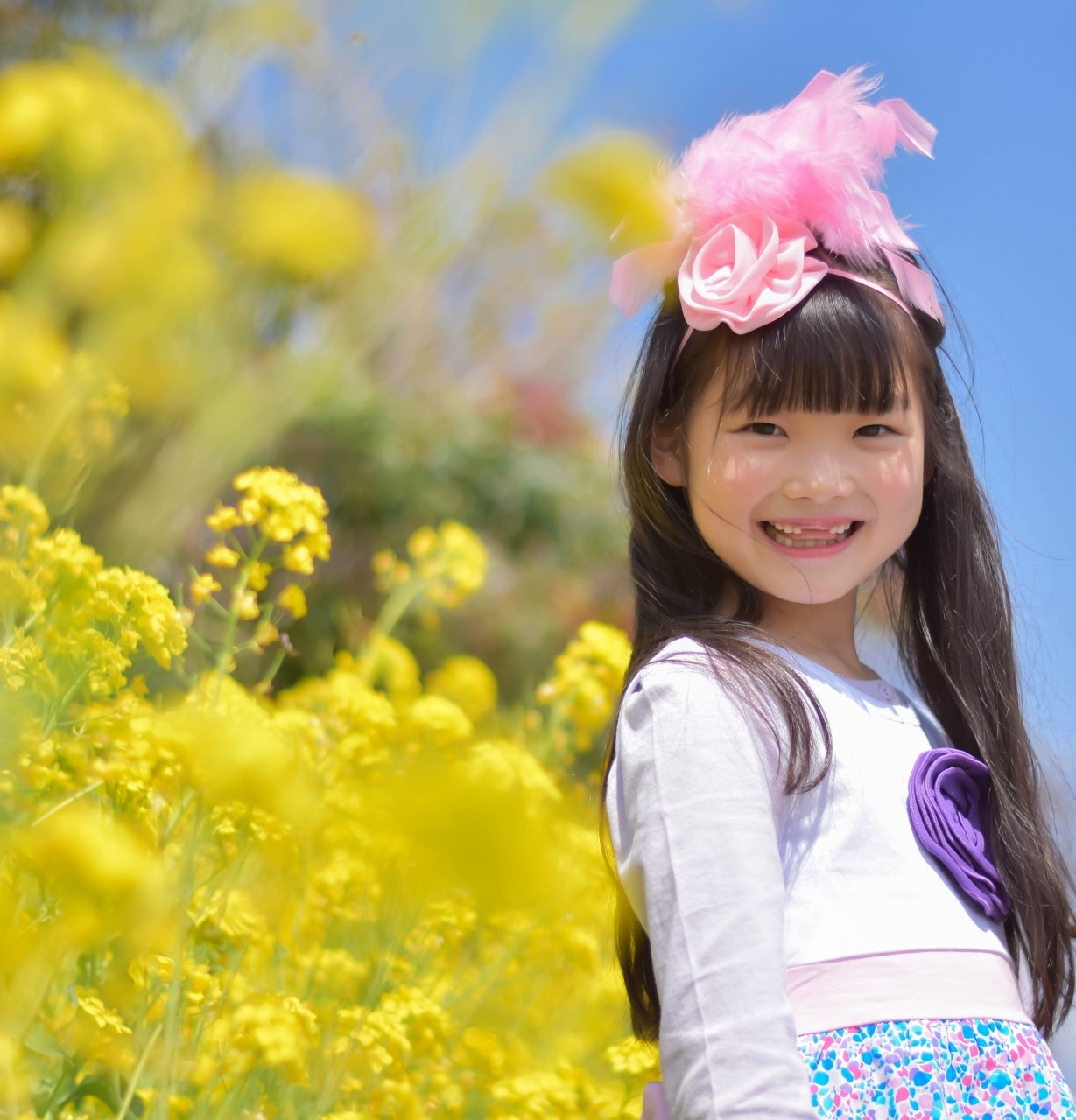 神奈川で菜の花【湘南周辺エリア・早咲き菜の花スポット：2025年版】1