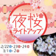 【夜桜ライトアップ】大船フラワーセンターで夜間開園。早咲きの「玉縄桜」が夜空に美しく彩られます。特別メニューやワークショップも❀［2025年2月22日（土）・23日（日）・24日（月祝）・3月1日（土）・2日（日）：鎌倉市］