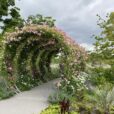 光陵公園のローズガーデンがリニューアルオープン！遊具広場は秋に利用再開[綾瀬市]