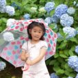 2025年6月7日-8日のイベントのご紹介！子供向け　[湘南]