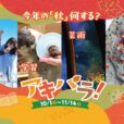 横浜・八景島シーパラダイス：生き物と触れ合う秋！ハロウィンテーマの「アキパラ！」開催中！[11月14日まで]