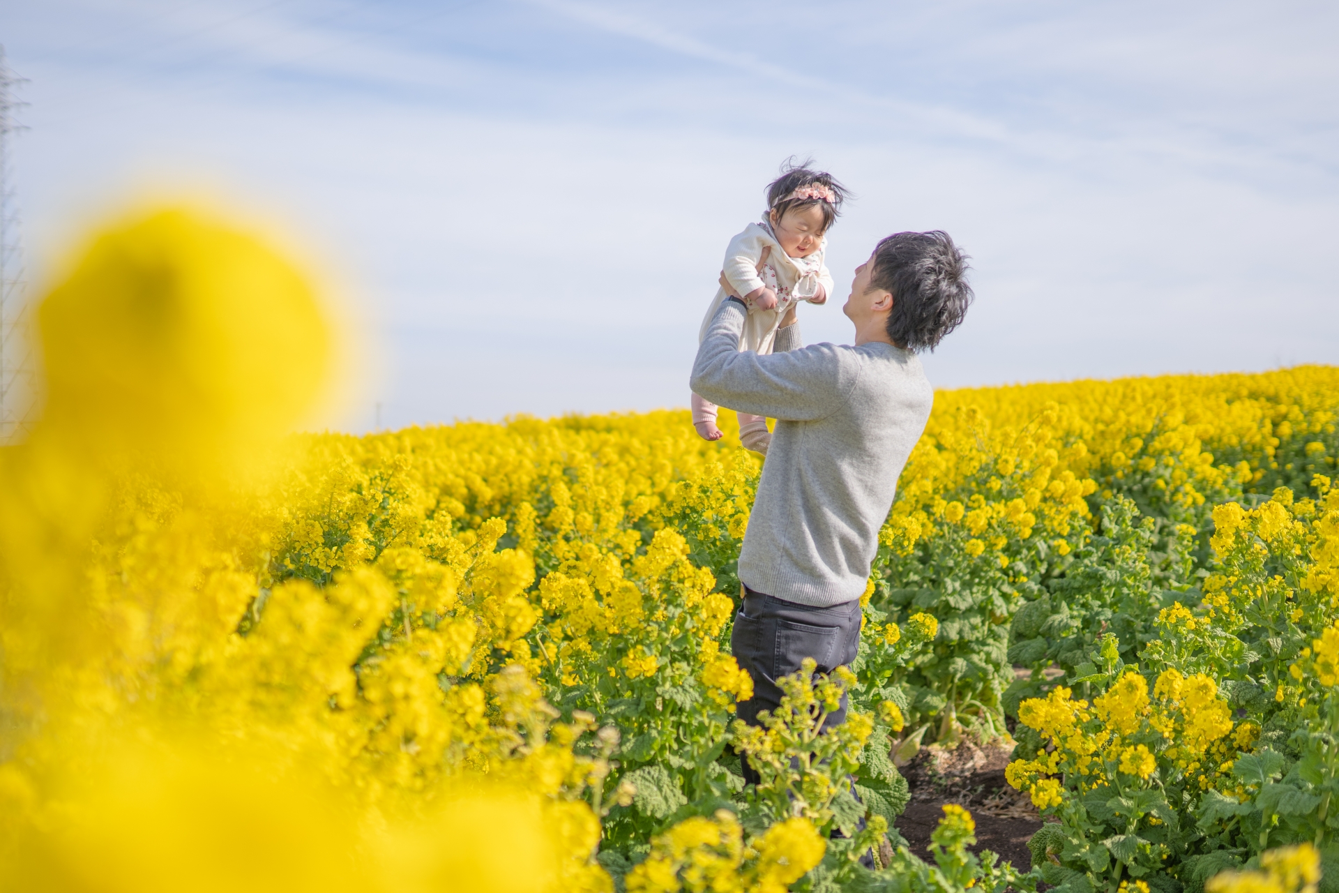 神奈川で菜の花【湘南周辺エリア・早咲き菜の花スポット：2026年版】1