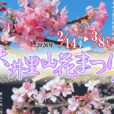 【大井里山花まつり】早咲き桜と雪化粧した富士山のコラボレーションを見に行こう！キッチンカーや模擬店、ステージショーなど、当日参加も楽しい時間を♪お山のひなまつりも開催中[2026年2月21日(土)-22日(日)：神奈川県大井町]