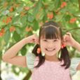 2026年5月16日(土)・17日(日)の子供向けイベント・予約不要【横浜市内】公式リンクまとめました！