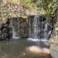 暑い日に涼めてプチ旅行気分　横浜の住宅街にある「白糸の滝」[旭区　鶴ヶ峰]