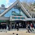 【子連れで楽しむ高尾山】ロングリフト・ケーブルカー・さる園。幼児も楽しめる自然体験。初めてのハイキングデビューにおすすめ。