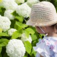 【ママパパ必見】6月は子供と何して遊ぶ？あそびいオススメのイベント・お出かけネタまとめました！『あそびい通信2026年6月号』