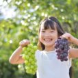 【ママパパ必見】９月は子供と何して遊ぶ？あそびいオススメのイベント・お出かけネタまとめました！『あそびい通信2026年9月号』
