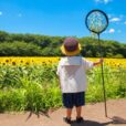 2026年8月22日（土）～28日（金）のイベントのご紹介！子供向け　[湘南]　※随時更新