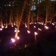 みその公園「横溝屋敷」：トレッサ近くに田園風景が広がる公園。幻想的な竹とうろうまつりは2026年9月26日 [鶴見区]
