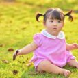 2026年9月26日（土）・27日（日）のイベントのご紹介！子供向け　[湘南]