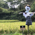 舞岡公園　案山子まつり人気投票（2026年9月13日～10月25日）開催中！この季節ならではのお楽しみ！黄金色の田んぼを守る可愛い案山子を観に行きませんか？食育の機会にも！[戸塚区]