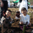 秋の収穫体験フェス：さつまいも収穫、ピザ作り体験、参加者募集！！子どもと一緒に自然の中で貴重な体験しませんか？ （申込締切：10／28）【2026年11月1日（日）大井町 農業体験施設 四季の里】